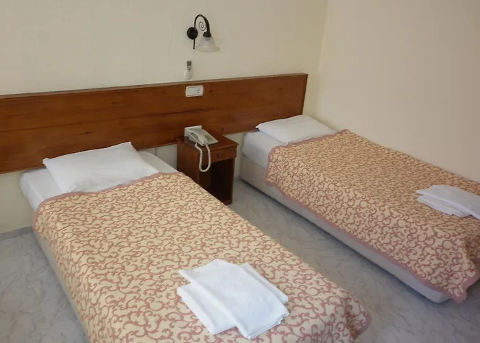 Oezguer Hotel * フェティエ