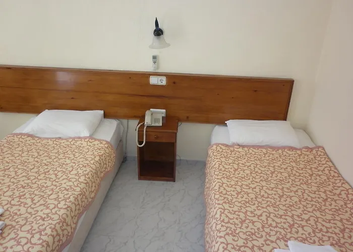 ホテル Oezguer Hotel