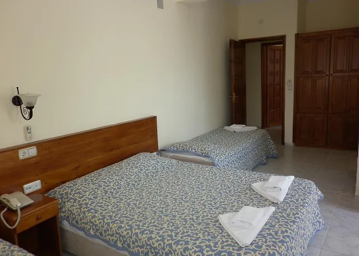 Oezguer Hotel ホテル フェティエ